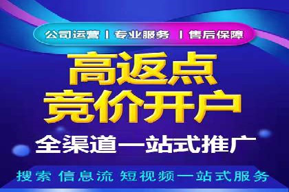 提升关键词竞价排名转化率：经典案例解析